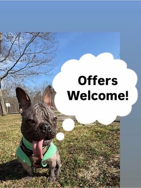 Offers welcome!